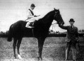 A Magyar Derby győztese - Horthy Jenő Duce nevű lova Csaplárral a nyergében