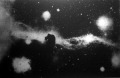 Fekete lófej a Kaszás-csillagképben