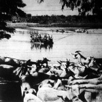 A Giuba folyón kompokon szállítják át az olaszok a kecskéket és juhokat, hogy ilyen módon biztonságba helyezzék az állatokat a portyázó abesszin csapatok elől.