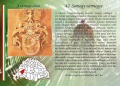 SOMOGY VÁRMEGYE CÍMERE,1498 SOMOGY VÁRMEGYE CÍMERE,1498