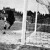 A Hungária második gólja a Kispest kapujába