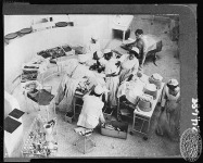 Operáció 1904-ben (John Hopkins Kórház )