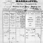 Ötnyelvű marhalevél 1892-ből (Antalfalva, v. Torontál m.)