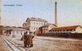 A tordai cellulózgyár A tordai cellulózgyár