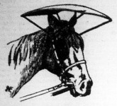 Fejvédő ernyő lovak számára