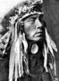 Curley-indianus Curley-indianus