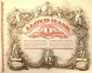 Pesti Lloyd részvénye