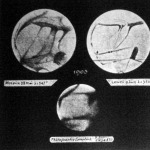Moreux és Lowell rajzai és Lampland fényképfelvétele a Marsról