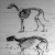 Őskori lovak csontvázai, a melyeket Amerikában találtak