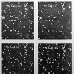 A Yerkes-csillagvizsgálóban készült fényképfölvétel. A Halley-üstökös helyét és mozgásának irányát a kis nyilak jelzik