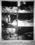 Képek a tátralomnici szánkópályáról