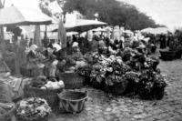 A dunaparti zöldség és gyümölcspiacról