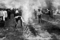 Sütik a halakat (Gazdagyűlés Siófokon) Sütik a halakat (Gazdagyűlés Siófokon)