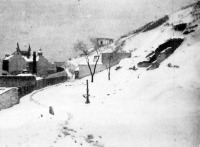 Téli kép a Gellérthegy oldalán