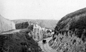 Völgyszoros Sandomierz mellett, Oroszország galicziai határánál. Ezen a vidéken vonult el Dankl tábornok hadserege.