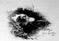 Kossuth Lajos a halottas ágyon