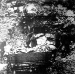 A szászországi Harrasfelsenben levő vasuti alagut a chemnitz-hainicheni vasutvonalon beomlott. A beomlást egy nem ismert vizfolyás okozta, amely a hegyben meglazitotta az anyagot, s ez ne mvárt erőlvel zuhatn a boltozatra, amelyet bedöntött.