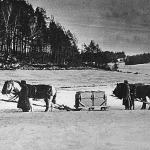 Ujfajta ételhordó ládák, melyben az étel 48 óráig meleg marad.