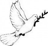 A béke galambja