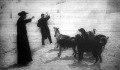 A híres szent-bernáthegyi kolostor kutyáinak egy csoportja