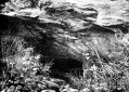 Szeleta barlang, 1908 Szeleta barlang, 1908