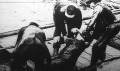 Az elsüllyedt Drina egyik áldozata Az elsüllyedt Drina egyik áldozata