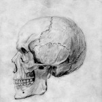 Rajz Petőfi koponyájáról