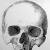 Nyilatkozatok a Petőfi állitólagos koponyájáról