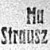 Ma tárgyalják ismét Strausz István dr. bünügyét Ma tárgyalják ismét Strausz István dr. bünügyét