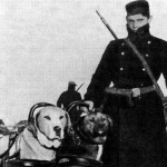 Gépfegyvert vontató kutyák a világháborúban