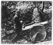 15 másodperc alatt fűrészel ketté egy két láb átmérőjű fatörzset. Fűrész, amely gazolinnal hajtott motorral van felszerelve;
