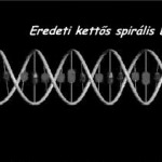 Eredeti kettős DNS spirális lánc