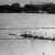 A budapesti nagy regatta