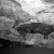 Az ősember barlangrajza: Bölények