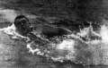 H. Sullivan félnap alatt úszta át a La Manche csatornát