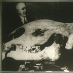 Őskori állat koponyája (Balucitherium)