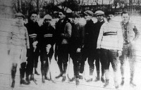 Az FTC jéghockey csapata