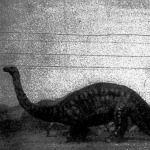 Brontosaurus  őskori szörny