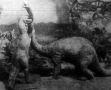 Allosaurus őskori szörny