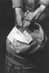A Boerenbond a második világháború után is komoly szerepet vállalt a gazdasági életben (a kép illusztráció)