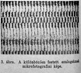 Mikrofotográfiai kép