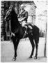 Peák Imre világhírű magyar lovas, aki lovával 12.000 kilométer utat tett meg.