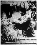Mussolini miniszterelnök résztvett a pontusi mocsarak helyén lévő termőföldön az aratásban.