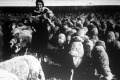 Birkanyáj húsvéti bárányokkal