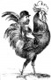 A gall kakas, Franciaország jelképe