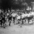 Rosta-Szabó az első a mezei futóversenyen Rosta-Szabó az első a mezei futóversenyen